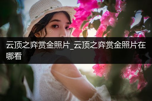 云顶之弈赏金照片_云顶之弈赏金照片在哪看