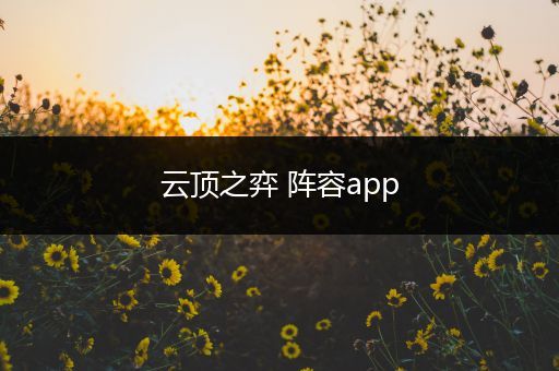 云顶之弈 阵容app