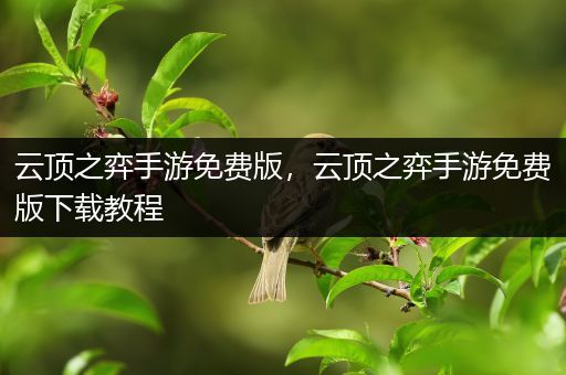 云顶之弈手游免费版，云顶之弈手游免费版下载教程