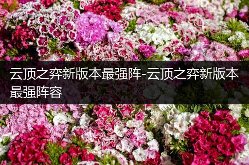 云顶之弈新版本最强阵-云顶之弈新版本最强阵容