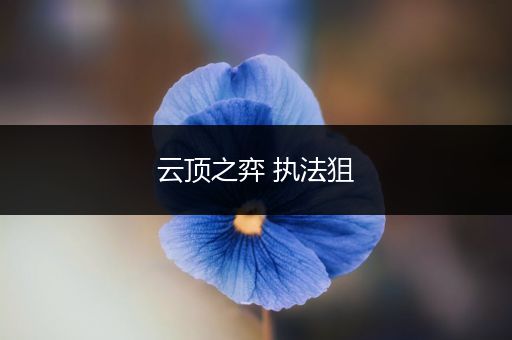 云顶之弈 执法狙
