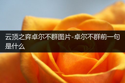 云顶之弈卓尔不群图片-卓尔不群前一句是什么