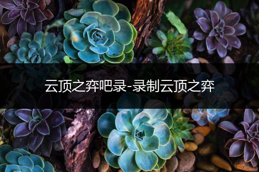 云顶之弈吧录-录制云顶之弈