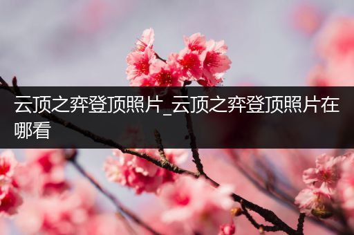云顶之弈登顶照片_云顶之弈登顶照片在哪看
