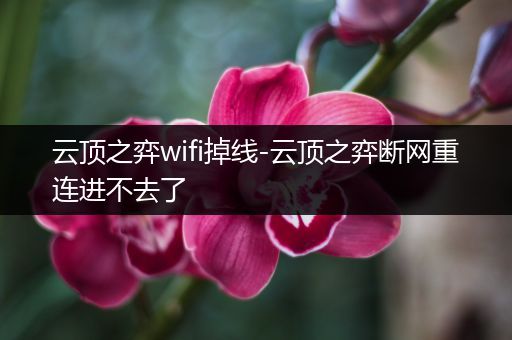 云顶之弈wifi掉线-云顶之弈断网重连进不去了