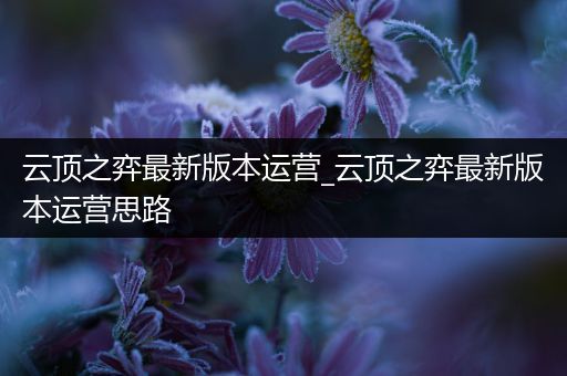 云顶之弈最新版本运营_云顶之弈最新版本运营思路