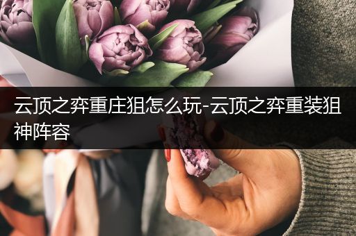 云顶之弈重庄狙怎么玩-云顶之弈重装狙神阵容