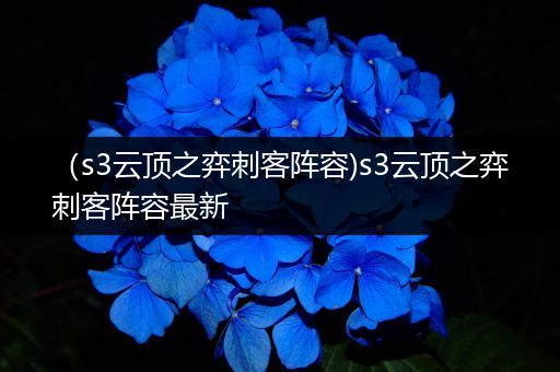 （s3云顶之弈刺客阵容)s3云顶之弈刺客阵容最新