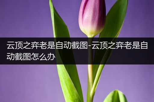 云顶之弈老是自动截图-云顶之弈老是自动截图怎么办