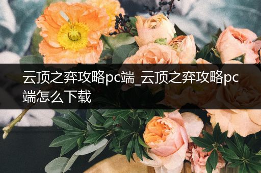 云顶之弈攻略pc端_云顶之弈攻略pc端怎么下载