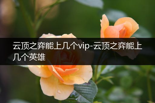 云顶之弈能上几个vip-云顶之弈能上几个英雄