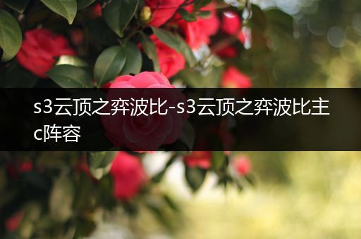 s3云顶之弈波比-s3云顶之弈波比主c阵容