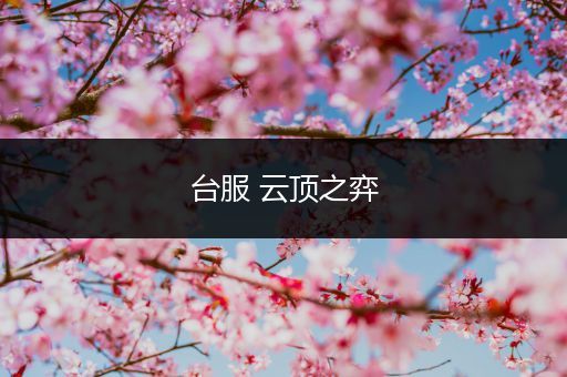 台服 云顶之弈