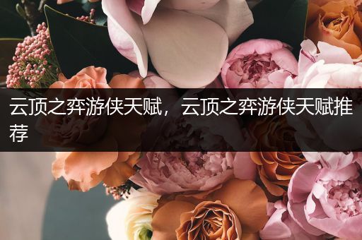 云顶之弈游侠天赋，云顶之弈游侠天赋推荐
