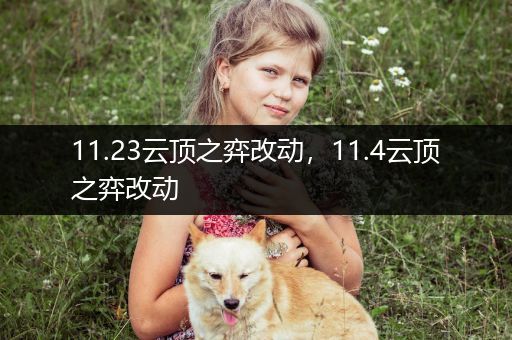 11.23云顶之弈改动，11.4云顶之弈改动