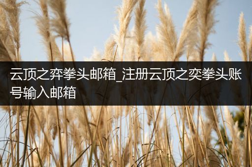 云顶之弈拳头邮箱_注册云顶之奕拳头账号输入邮箱