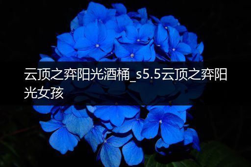 云顶之弈阳光酒桶_s5.5云顶之弈阳光女孩