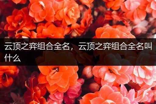云顶之弈组合全名，云顶之弈组合全名叫什么
