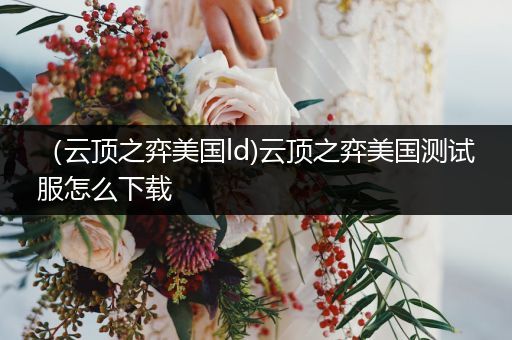 （云顶之弈美国ld)云顶之弈美国测试服怎么下载