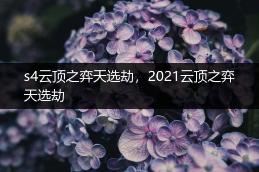 s4云顶之弈天选劫，2021云顶之弈天选劫