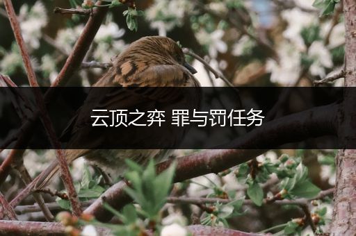 云顶之弈 罪与罚任务