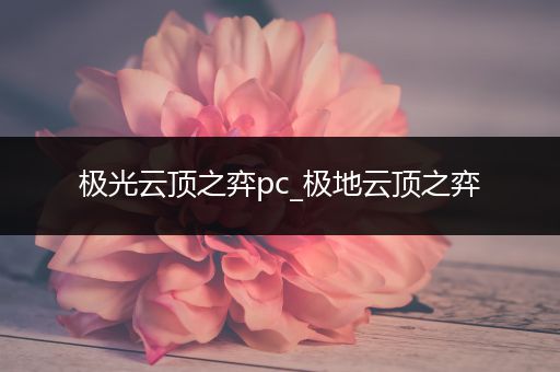 极光云顶之弈pc_极地云顶之弈