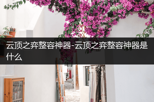 云顶之弈整容神器-云顶之弈整容神器是什么