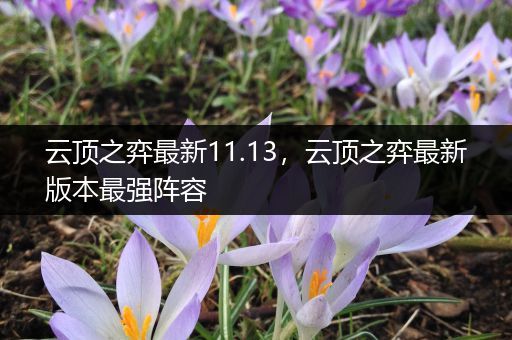 云顶之弈最新11.13，云顶之弈最新版本最强阵容