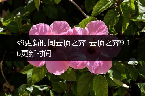 s9更新时间云顶之弈_云顶之弈9.16更新时间