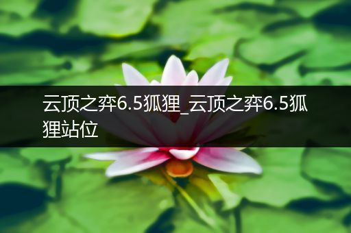 云顶之弈6.5狐狸_云顶之弈6.5狐狸站位