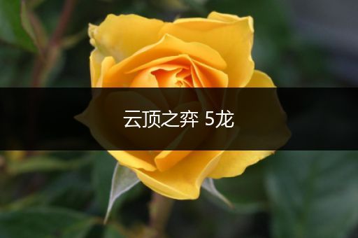 云顶之弈 5龙
