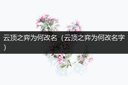云顶之弈为何改名（云顶之弈为何改名字）