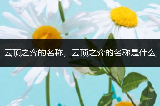 云顶之弈的名称，云顶之弈的名称是什么