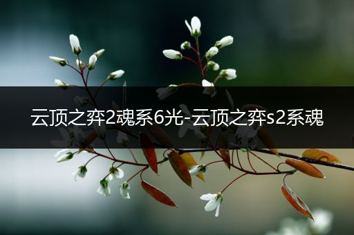 云顶之弈2魂系6光-云顶之弈s2系魂
