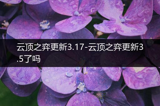 云顶之弈更新3.17-云顶之弈更新3.5了吗