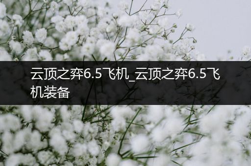 云顶之弈6.5飞机_云顶之弈6.5飞机装备