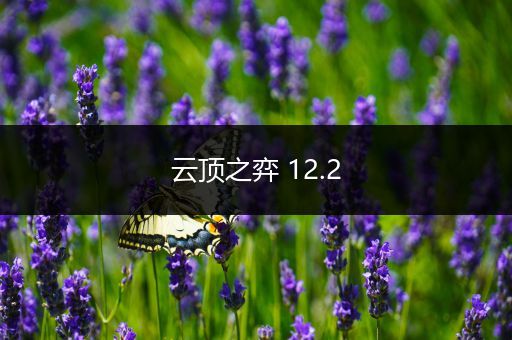 云顶之弈 12.2
