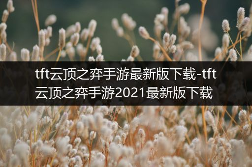 tft云顶之弈手游最新版下载-tft云顶之弈手游2021最新版下载