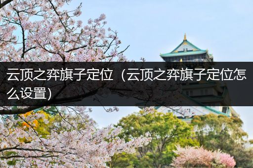 云顶之弈旗子定位（云顶之弈旗子定位怎么设置）
