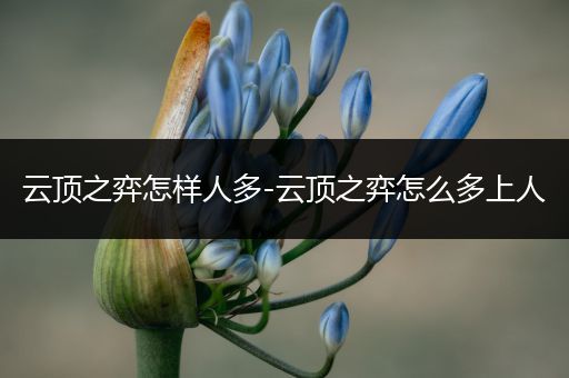 云顶之弈怎样人多-云顶之弈怎么多上人