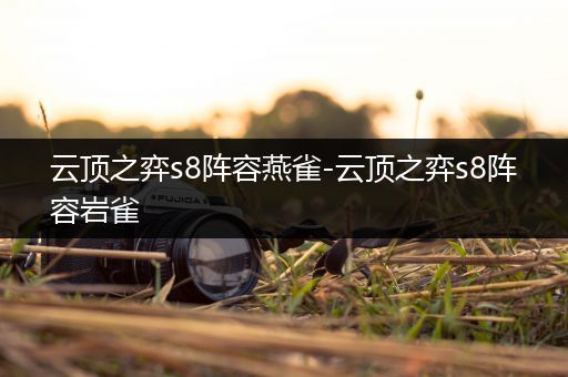云顶之弈s8阵容燕雀-云顶之弈s8阵容岩雀