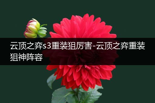 云顶之弈s3重装狙厉害-云顶之弈重装狙神阵容