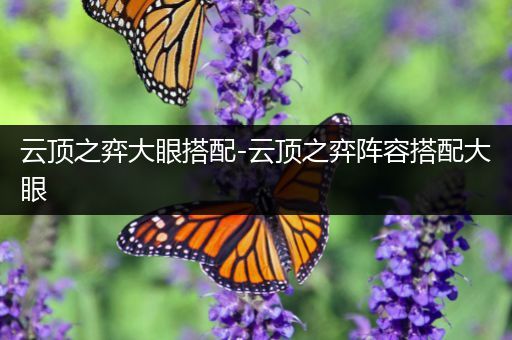云顶之弈大眼搭配-云顶之弈阵容搭配大眼