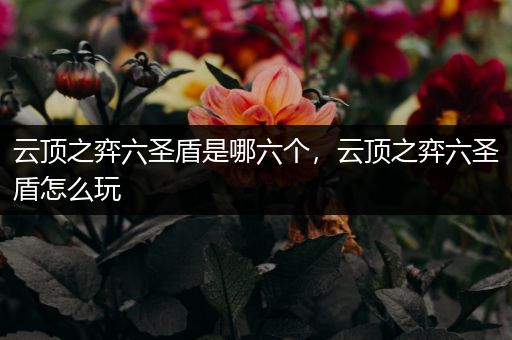 云顶之弈六圣盾是哪六个，云顶之弈六圣盾怎么玩