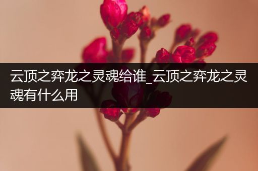 云顶之弈龙之灵魂给谁_云顶之弈龙之灵魂有什么用