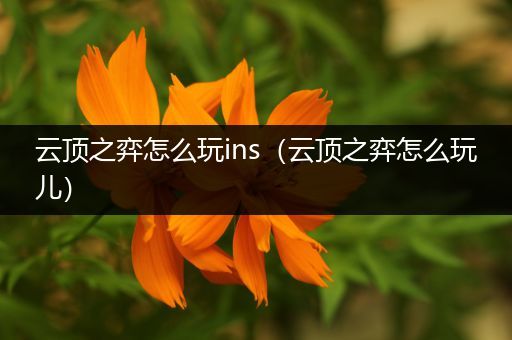 云顶之弈怎么玩ins（云顶之弈怎么玩儿）