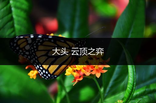 大头 云顶之弈