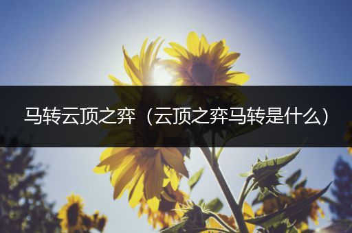 马转云顶之弈（云顶之弈马转是什么）