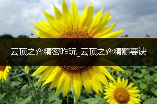 云顶之弈精密咋玩_云顶之弈精髓要诀