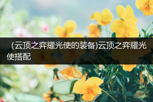 （云顶之弈耀光使的装备)云顶之弈耀光使搭配